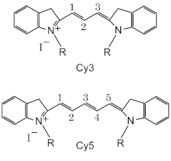 5'-Cy5-Oligo d(T)12-18