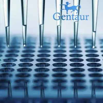 [0002-0801111] HIV Type 1 p24 ELISA Test - Antigen (96 Determinations)